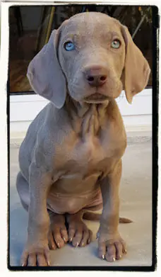 Rainbow 2020 Mascotte de Éveil & Sens